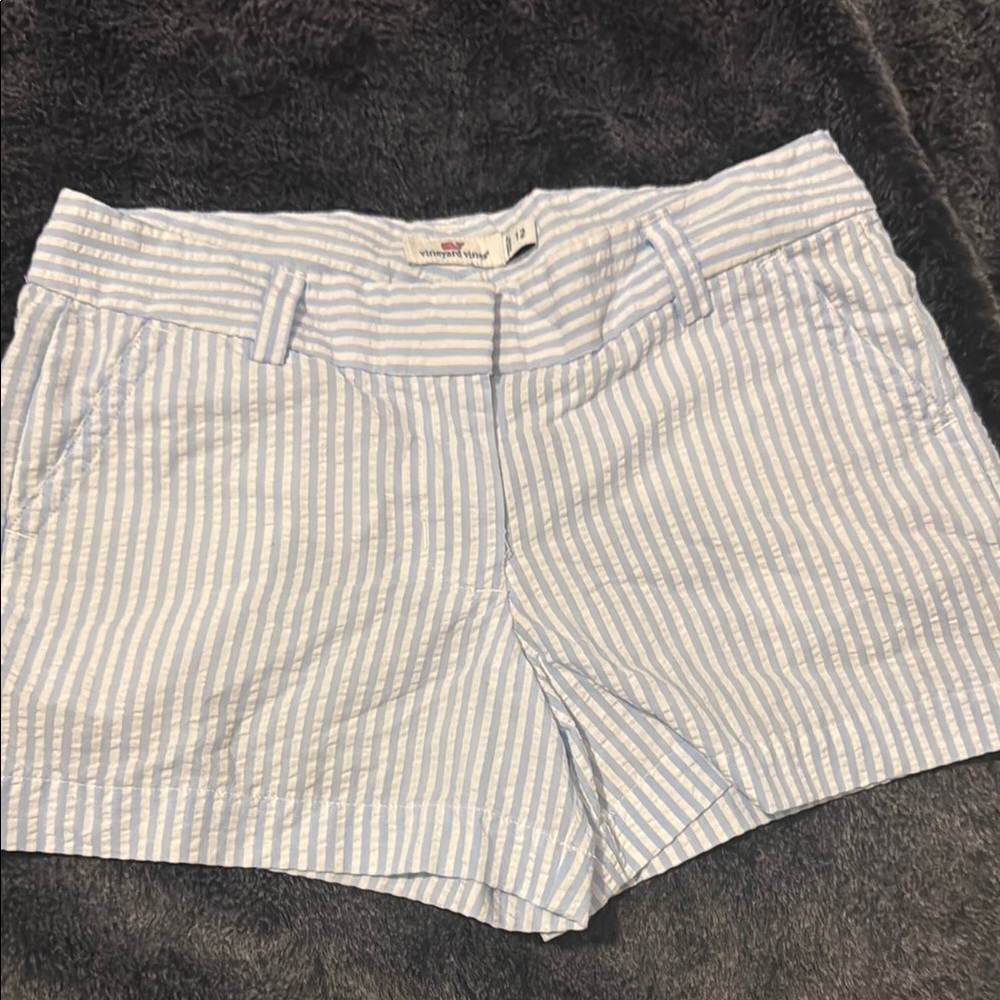 Vineyard Vines Blue Striped Shorts size 12 girls